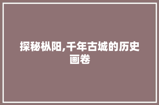 探秘枞阳,千年古城的历史画卷  第1张