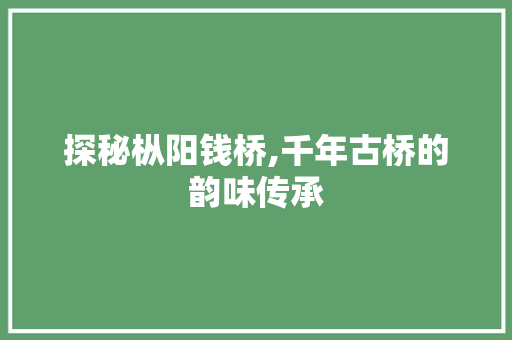 探秘枞阳钱桥,千年古桥的韵味传承  第1张