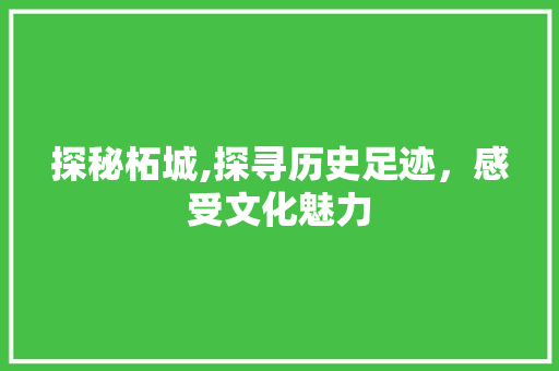 探秘柘城,探寻历史足迹，感受文化魅力