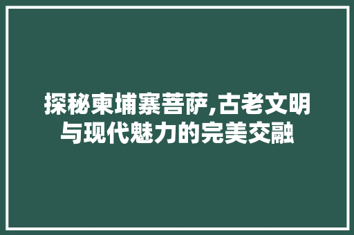 探秘柬埔寨菩萨,古老文明与现代魅力的完美交融  第1张