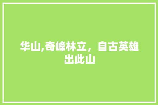 华山,奇峰林立，自古英雄出此山  第1张