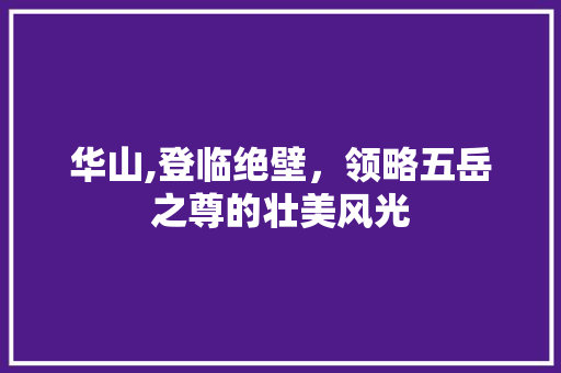华山,登临绝壁，领略五岳之尊的壮美风光  第1张