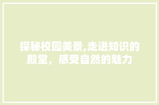 探秘校园美景,走进知识的殿堂，感受自然的魅力  第1张
