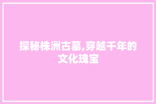 探秘株洲古墓,穿越千年的文化瑰宝  第1张