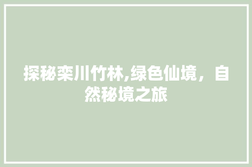 探秘栾川竹林,绿色仙境，自然秘境之旅