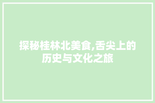 探秘桂林北美食,舌尖上的历史与文化之旅  第1张