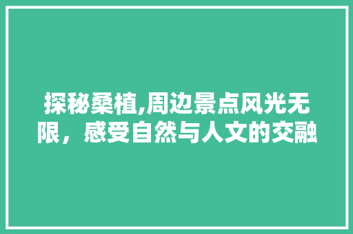 探秘桑植,周边景点风光无限，感受自然与人文的交融  第1张