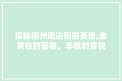 探秘梧州周边稻田美景,金黄色的画卷，丰收的喜悦  第1张