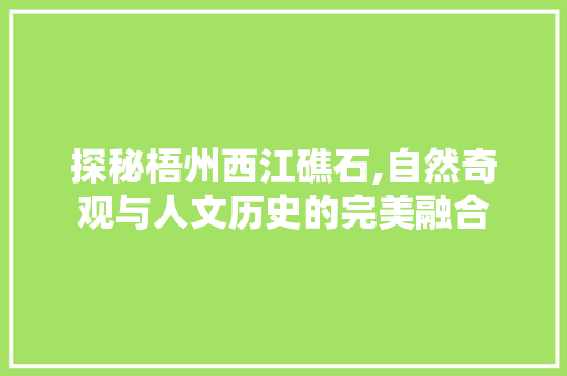 探秘梧州西江礁石,自然奇观与人文历史的完美融合  第1张
