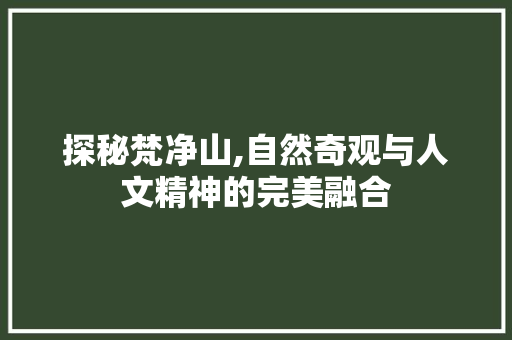 探秘梵净山,自然奇观与人文精神的完美融合  第1张