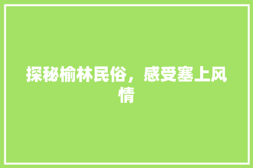 探秘榆林民俗，感受塞上风情