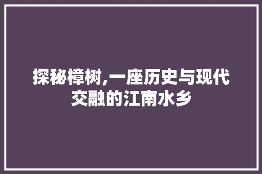 探秘樟树,一座历史与现代交融的江南水乡  第1张