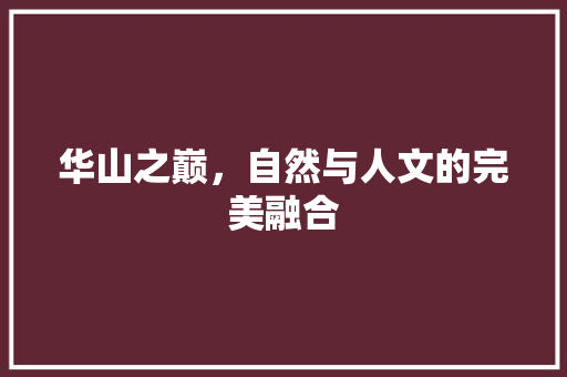 华山之巅，自然与人文的完美融合