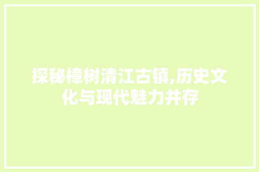 探秘樟树清江古镇,历史文化与现代魅力并存  第1张