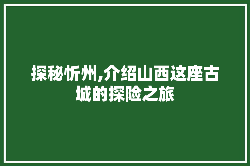 探秘忻州,介绍山西这座古城的探险之旅  第1张
