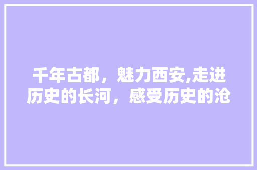千年古都，魅力西安,走进历史的长河，感受历史的沧桑  第1张