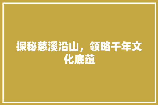 探秘慈溪沿山，领略千年文化底蕴