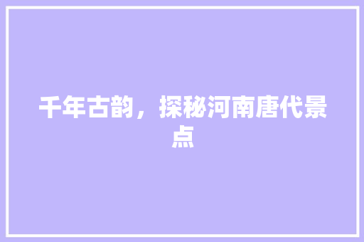 千年古韵，探秘河南唐代景点