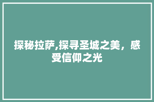 探秘拉萨,探寻圣城之美，感受信仰之光