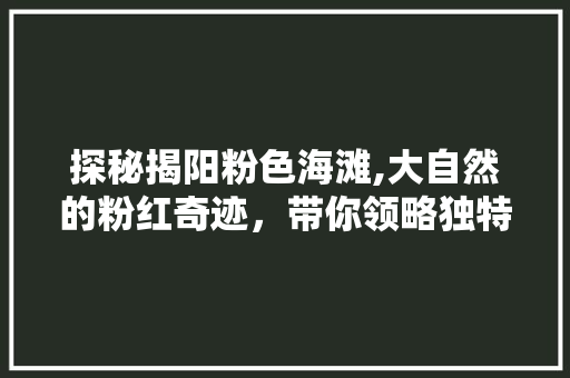 探秘揭阳粉色海滩,大自然的粉红奇迹，带你领略独特的海滨风光  第1张