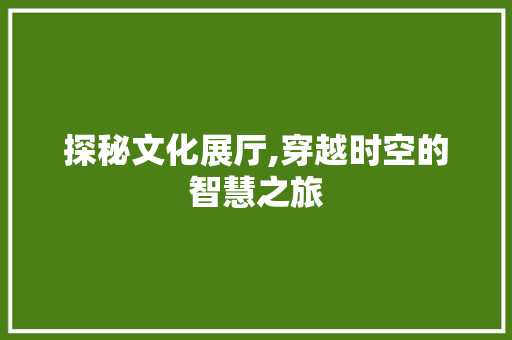 探秘文化展厅,穿越时空的智慧之旅  第1张