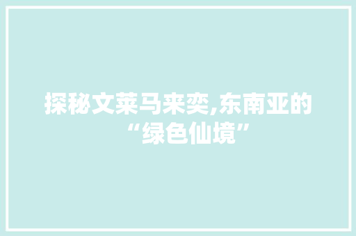 探秘文莱马来奕,东南亚的“绿色仙境”