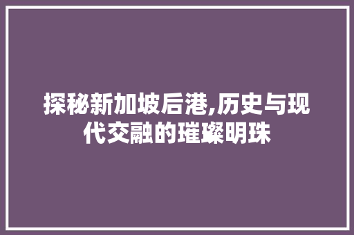 探秘新加坡后港,历史与现代交融的璀璨明珠  第1张