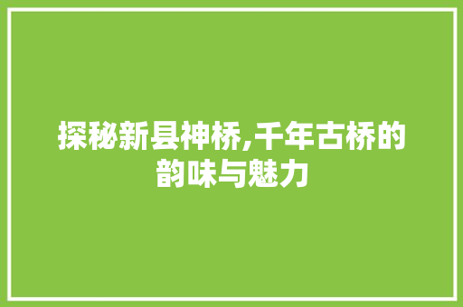 探秘新县神桥,千年古桥的韵味与魅力  第1张