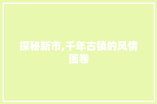 探秘新市,千年古镇的风情画卷  第1张