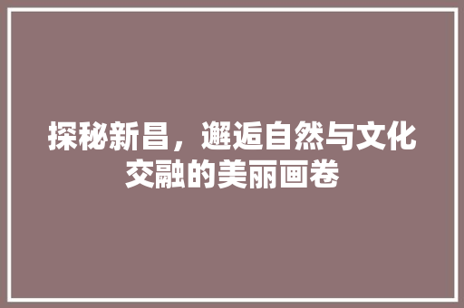探秘新昌，邂逅自然与文化交融的美丽画卷  第1张