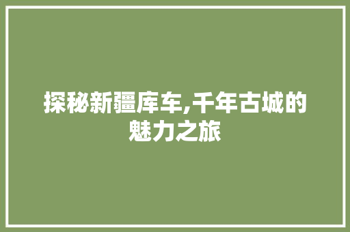 探秘新疆库车,千年古城的魅力之旅  第1张