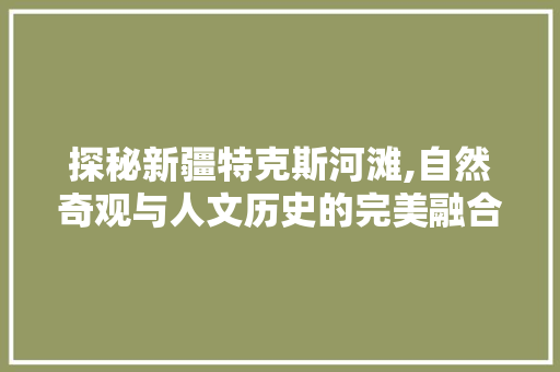 探秘新疆特克斯河滩,自然奇观与人文历史的完美融合  第1张