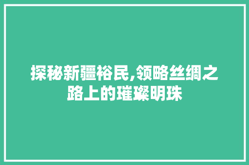 探秘新疆裕民,领略丝绸之路上的璀璨明珠  第1张