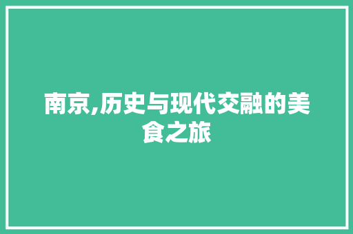 南京,历史与现代交融的美食之旅  第1张