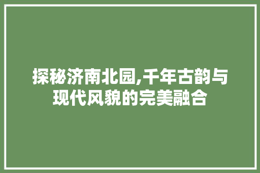 探秘济南北园,千年古韵与现代风貌的完美融合