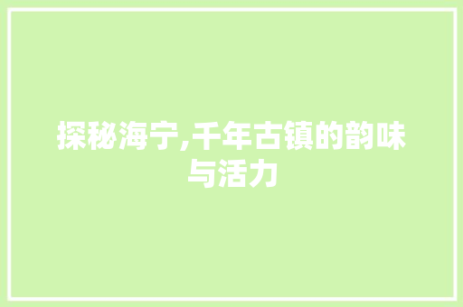探秘海宁,千年古镇的韵味与活力  第1张