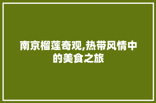 南京榴莲奇观,热带风情中的美食之旅