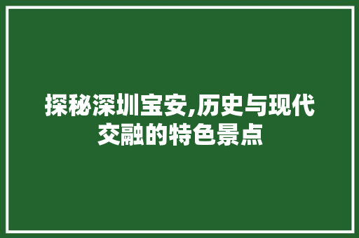 探秘深圳宝安,历史与现代交融的特色景点  第1张