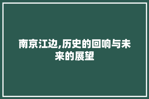 南京江边,历史的回响与未来的展望  第1张