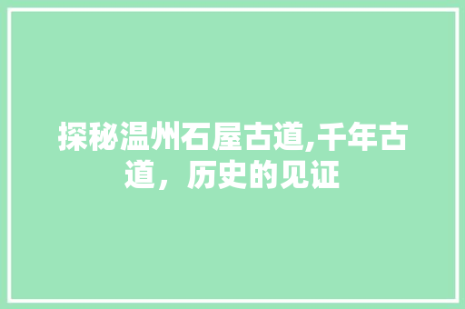 探秘温州石屋古道,千年古道，历史的见证  第1张
