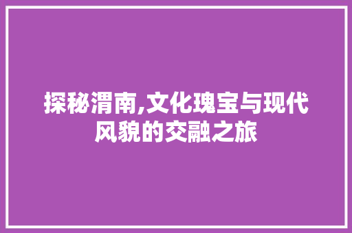 探秘渭南,文化瑰宝与现代风貌的交融之旅