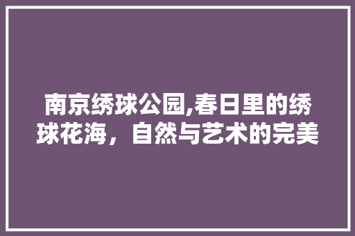 南京绣球公园,春日里的绣球花海，自然与艺术的完美交融