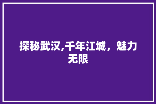 探秘武汉,千年江城，魅力无限