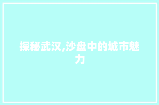 探秘武汉,沙盘中的城市魅力