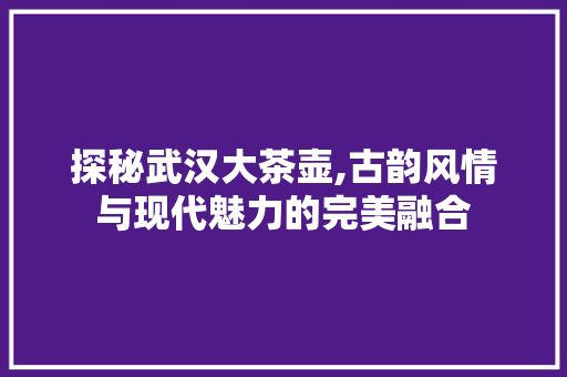 探秘武汉大茶壶,古韵风情与现代魅力的完美融合
