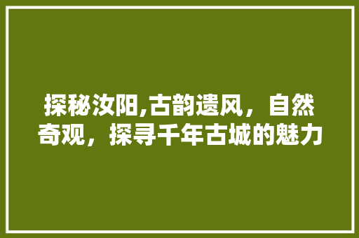 探秘汝阳,古韵遗风，自然奇观，探寻千年古城的魅力