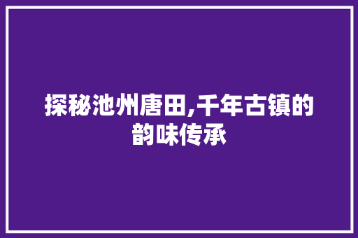 探秘池州唐田,千年古镇的韵味传承