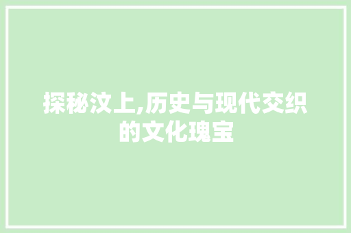 探秘汶上,历史与现代交织的文化瑰宝  第1张