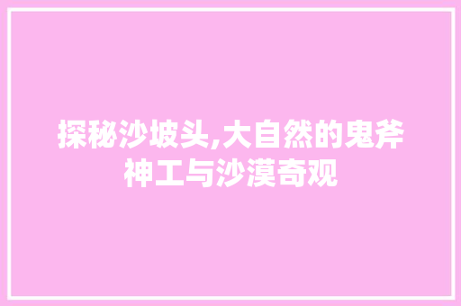 探秘沙坡头,大自然的鬼斧神工与沙漠奇观  第1张