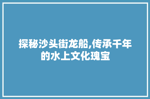 探秘沙头街龙船,传承千年的水上文化瑰宝